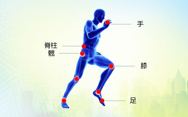 骨科科普 | 带您了解骨关节炎(一)