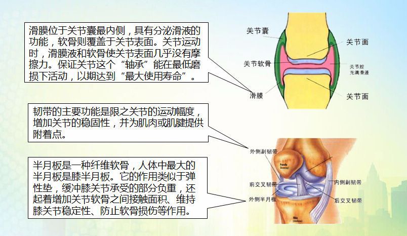 骨科科普 | 带您了解骨关节炎（一）